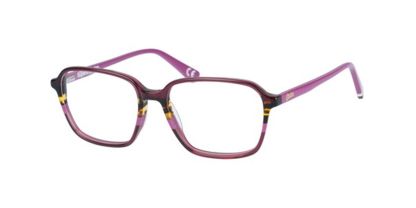 SDO Nadare Superdry Glasses